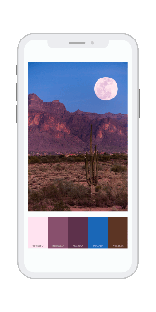Daily Colors newsletter shown on a phone